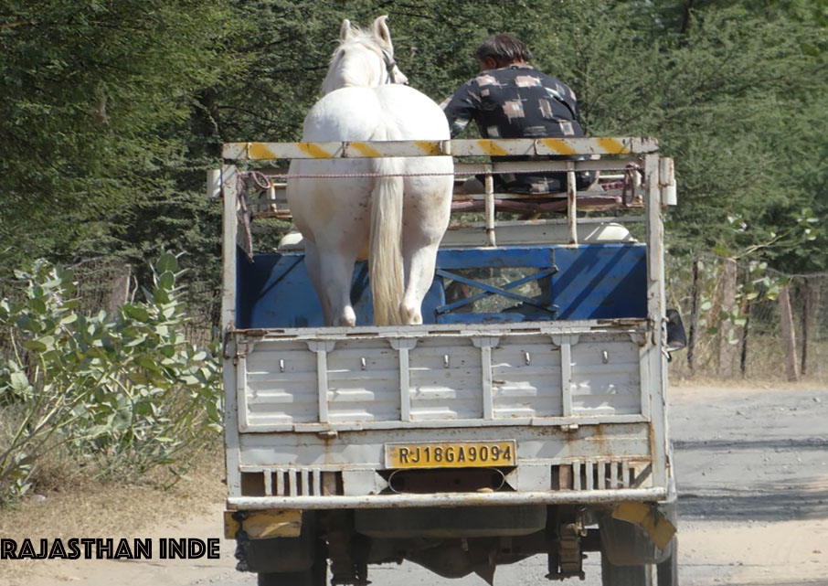 Transport 2