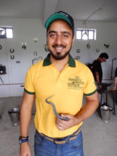 Abhishek