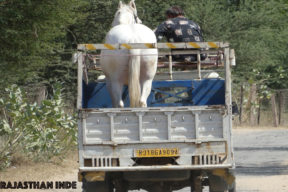 Transport-2-